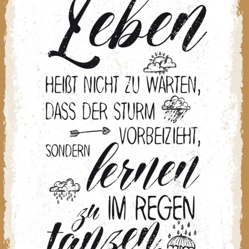 Schild Leben Sturm Vorbeizieht Im Regen Tanzen 12x18 20x30 30x40 Blech/Holz