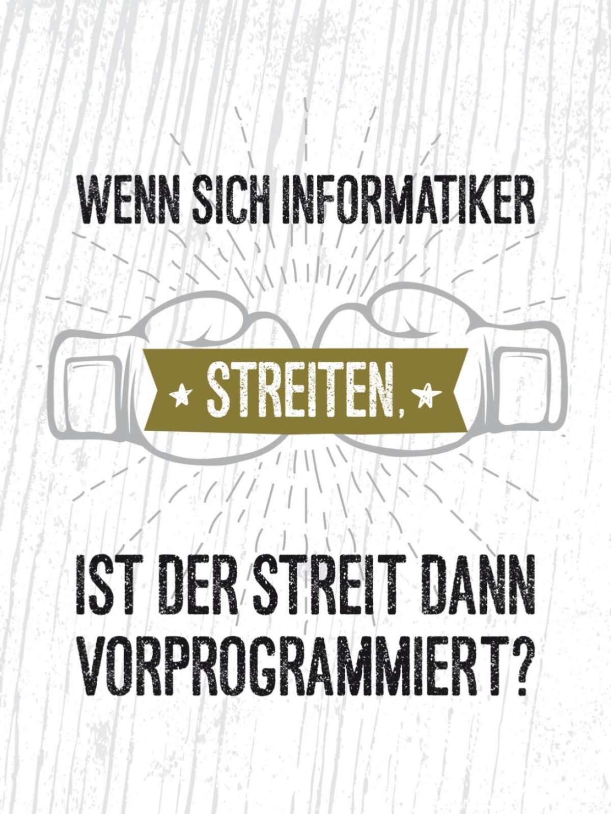 Schild Wenn Sich 2 Informatiker Streiten Streit 12x18 20x30 30x40 Blech/Holz
