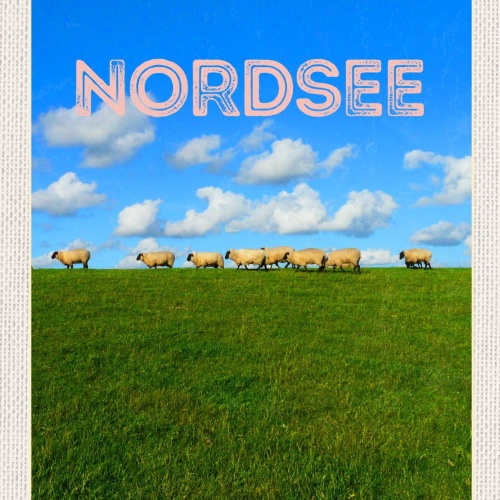 Schild Nordsee Schafe Schafherde Feld Wiese D EU 12x18 20x30 30x40 Blech/Holz