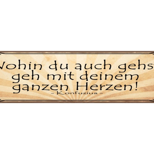 Schild Wohin Du Auch Gehst Geh Mit Deinem Ganzen Herzen Konfuzius 46 x 10