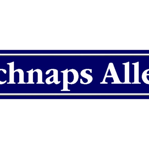 Schild Schnaps Allee Alkohol Lokal Wirt Ort Straße Platz 46 x 10 Blech od. Holz