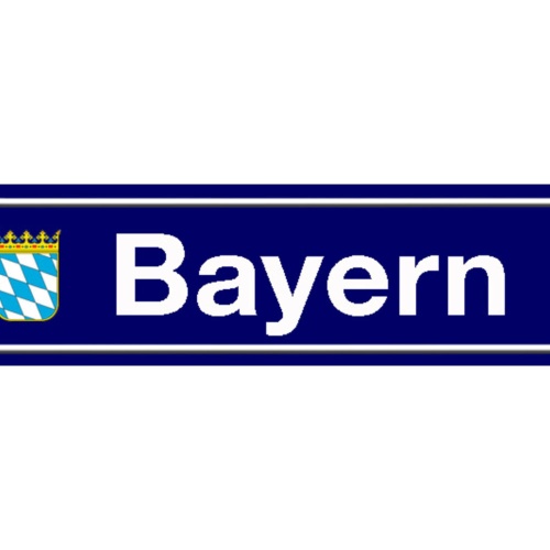 Schild Bayern Deutschland Bundesland Ort Straße Platz 46 x 10 Blech od. Holz