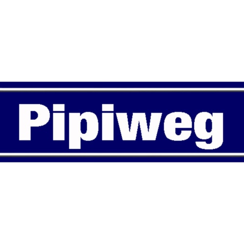 Schild Pipi Weg WC Toilette Klo Hund Ort Straße Platz 46 x 10 Blech od. Holz