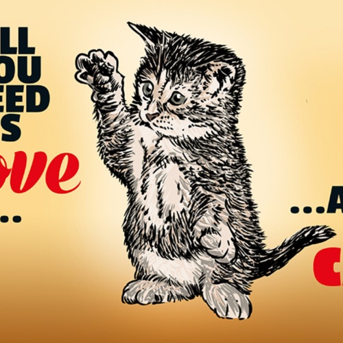 Schild Spruch All you need is Love and a Cat Alles was du brauchst Liebe KatzeJW