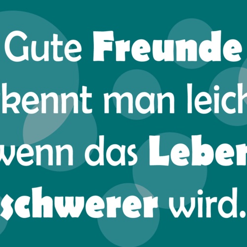 Schild Spruch Gute Freunde erkennt man leicht wenn das Leben schwerer wird JW