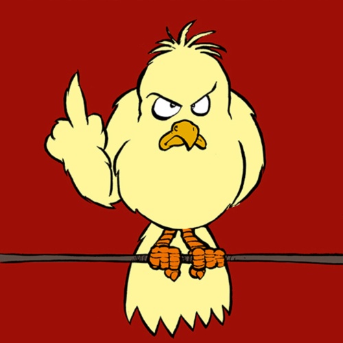 Schild Spruch Der frühe Vogel kann mich mal Frühaufsteher JW