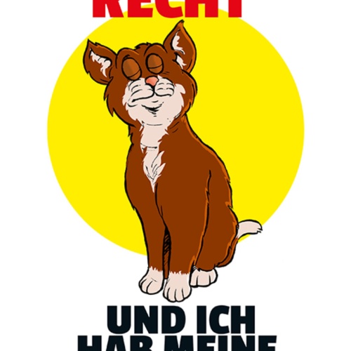 Schild Spruch Du hast recht und ich habe meine Ruhe Katze JW