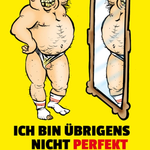 Schild Spruch Ich bin übrigens nicht perfekt und arbeite nicht daran Männer JW