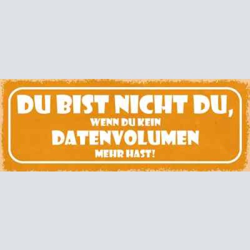 Schild du bist nicht du wenn du kein datenvolumen mehr hast 27x10 blech od.holz