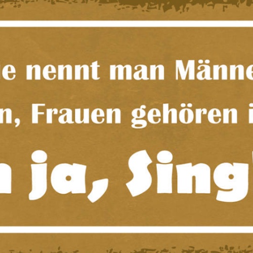 Schild Wie Nennt Man Männer Die Behaupten Frauen Gehören In Die Küche Singles