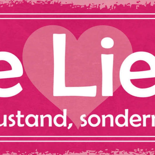 Schild Die Liebe Ist Kein Zustand Sondern Ein Tun Ehe Paar 27x10 Blech od.Holz