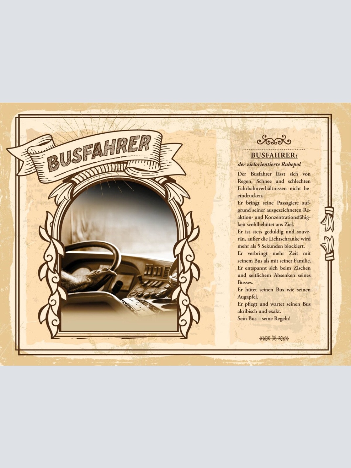 Schild Busfahrer Beruf Autobus Stadt Bus Verkehr 12x18 20x30 30x40 Blech/Holz