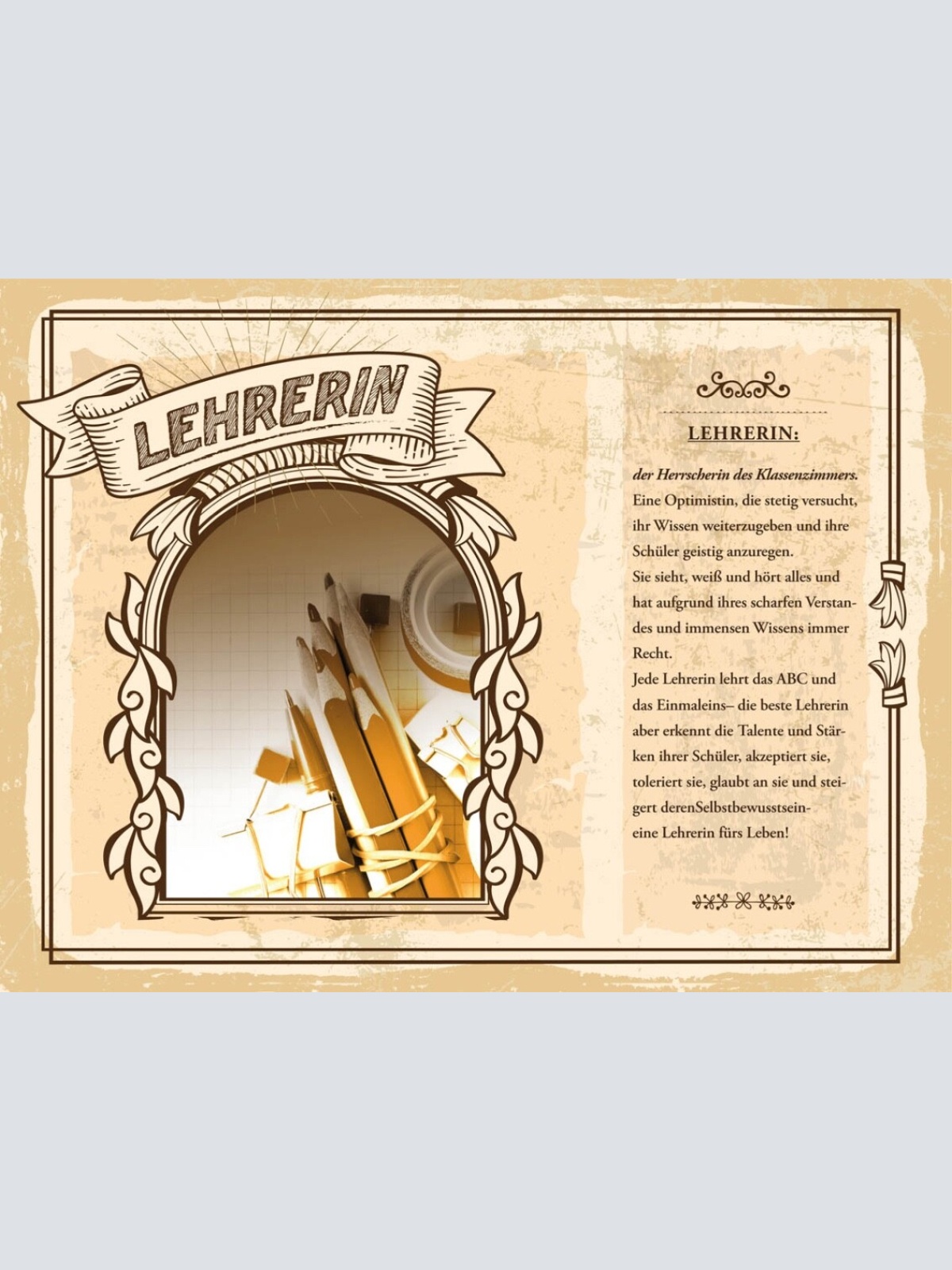 Schild Lehrerin Beruf Schule Lehrpersonal Lehren 12x18 20x30 30x40 Blech/Holz