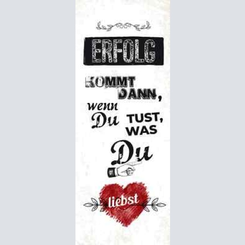 Schild erfolg kommt dann wenn du tust was du liebst leben 27x10 blech od.holz