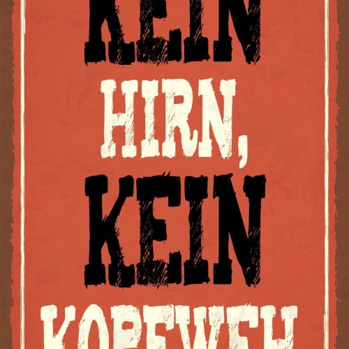 Schild Kein Hirn Kopf Weh Schmerzen Dumm 12x18 / 20x30 / 30x40 Blech od. Holz