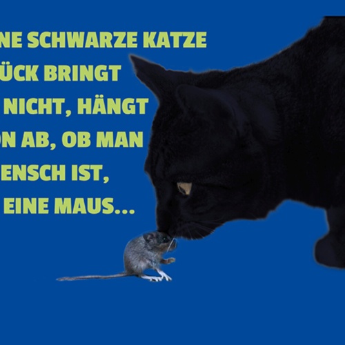 Schild Spruch Ob eine schwarze Katze Unglück bring oder nicht Mensch Maus JW