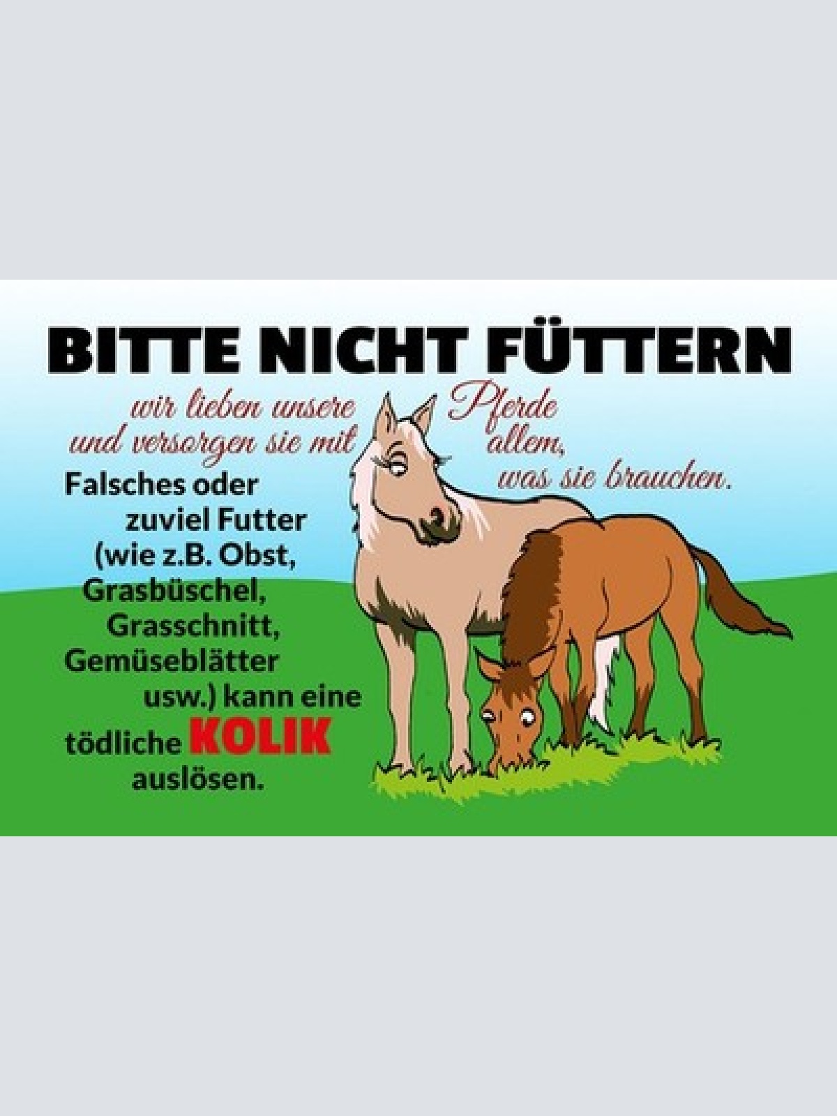 Schild Spruch Bitte Pferde nicht füttern JW