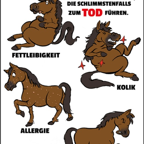 Schild Spruch Pferd bitte nicht füttern Krankheiten zum Tode führen JW