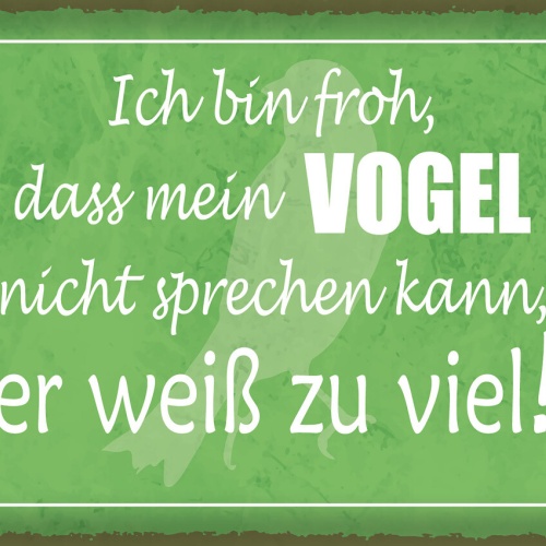 Schild Ich Bin Froh Mein Vogel Nicht Sprechen Kann 12x18 20x30 30x40 Blech/Holz