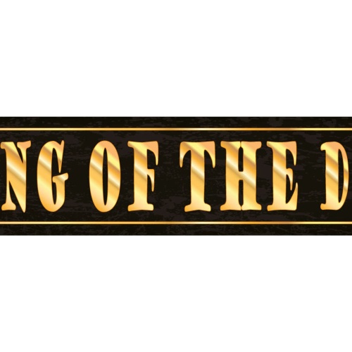 Schild King of the Day König Tag Glück Erfolg Gute Laune 46 x 10 Blech od. Holz