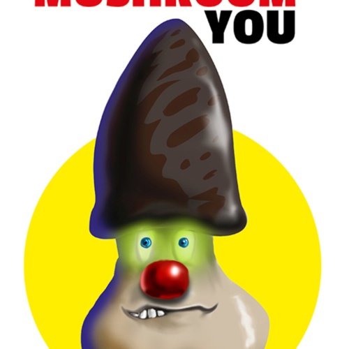 Schild Spruch You Lucky Mushroom you Du Glückspilz du Bad English JW