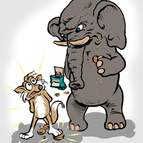 Schild Spruch You walk me animally on the cookie Du gehst mir tierisch auf denJW