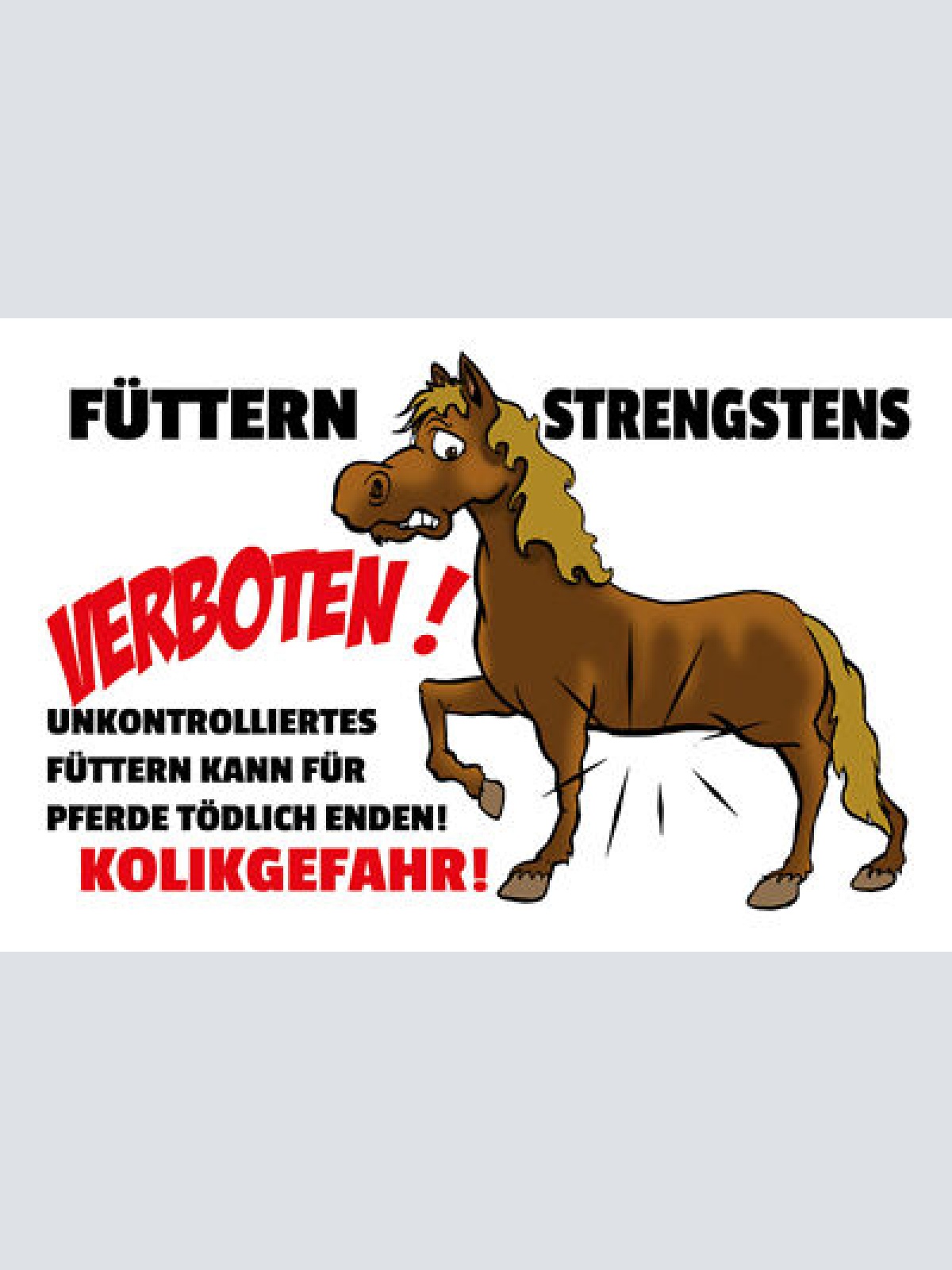Schild Spruch Füttern strengstens verboten Pferde JW