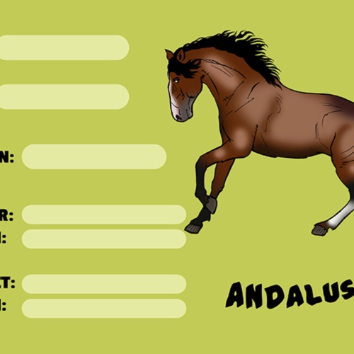 Schild Spruch Andalusier Pferd Steckbrief JW