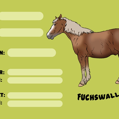 Schild Spruch Fuchswallach Pferd Steckbrief JW