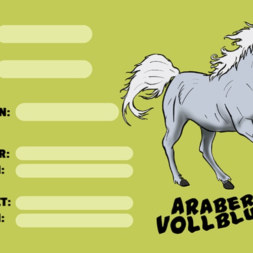 Schild Spruch Araber Vollblut Pferd Steckbrief  JW