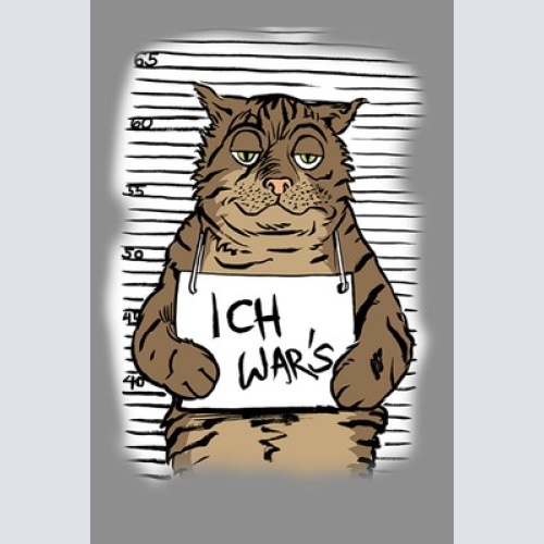 Schild Spruch Ich war's Katze Mugshot JW