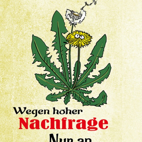 Schild Spruch Unkraut zu verkaufen Nur an Selbstpflücker Planzen Löwenzahn JW