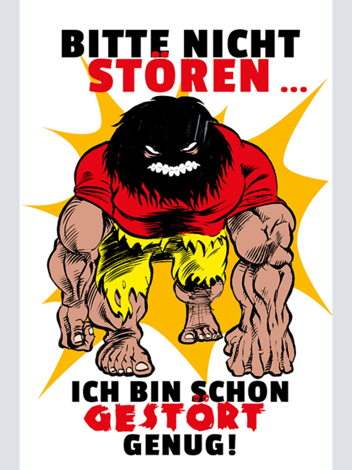 Schild Spruch Bitte nicht stören Ich bin schon gestört genug Warnung Wut JW