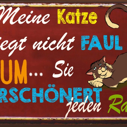 Schild Spruch Meine Katze nicht faul verschönert jeden Raum JW