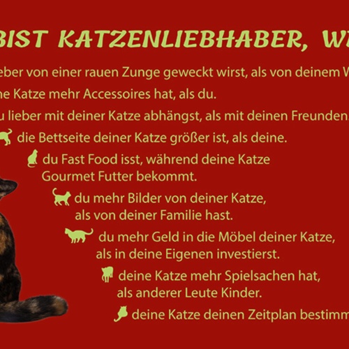 Schild Spruch Du bist Katzenliebhaber wenn du lieber von einer rauen Zunge JW