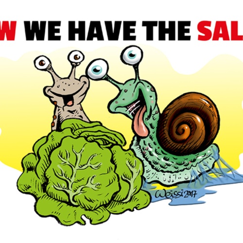 Schild Spruch Now we have the salad Jetzt haben wir den Salat Bad English JW