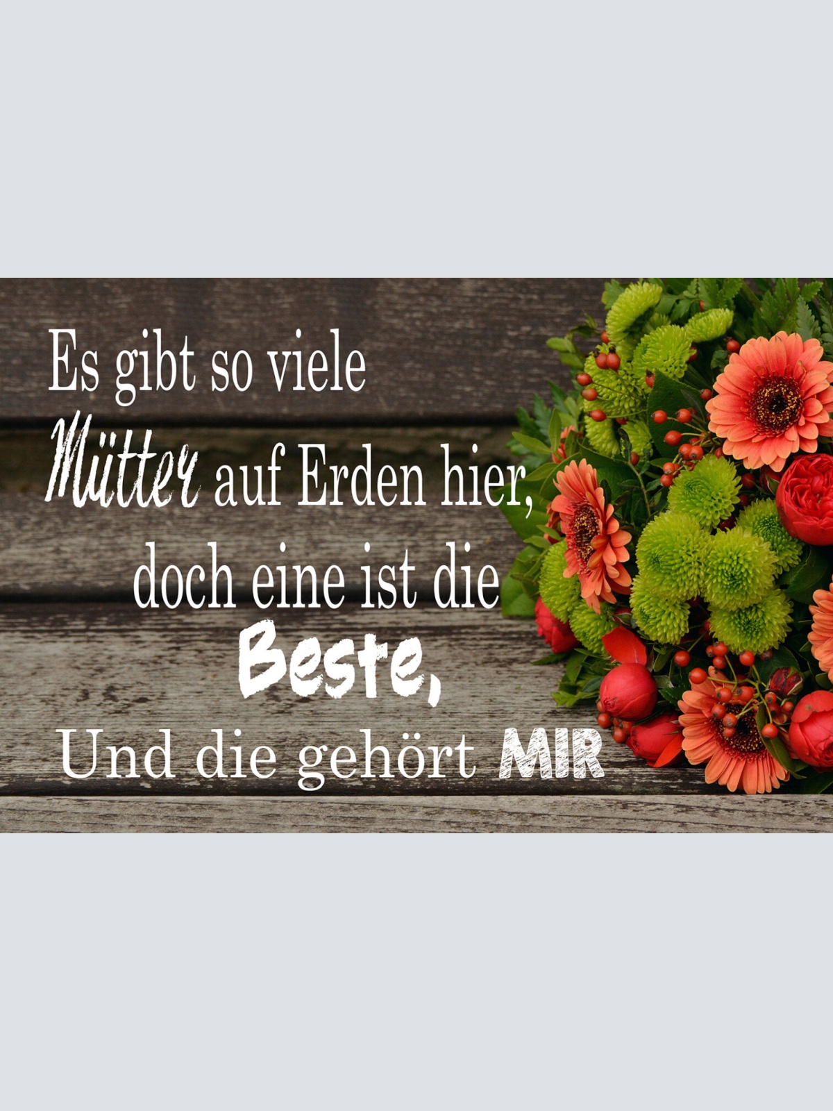 Schild Spruch Viele Mütter auf Erden mit gehört beste Mama Mutti JW