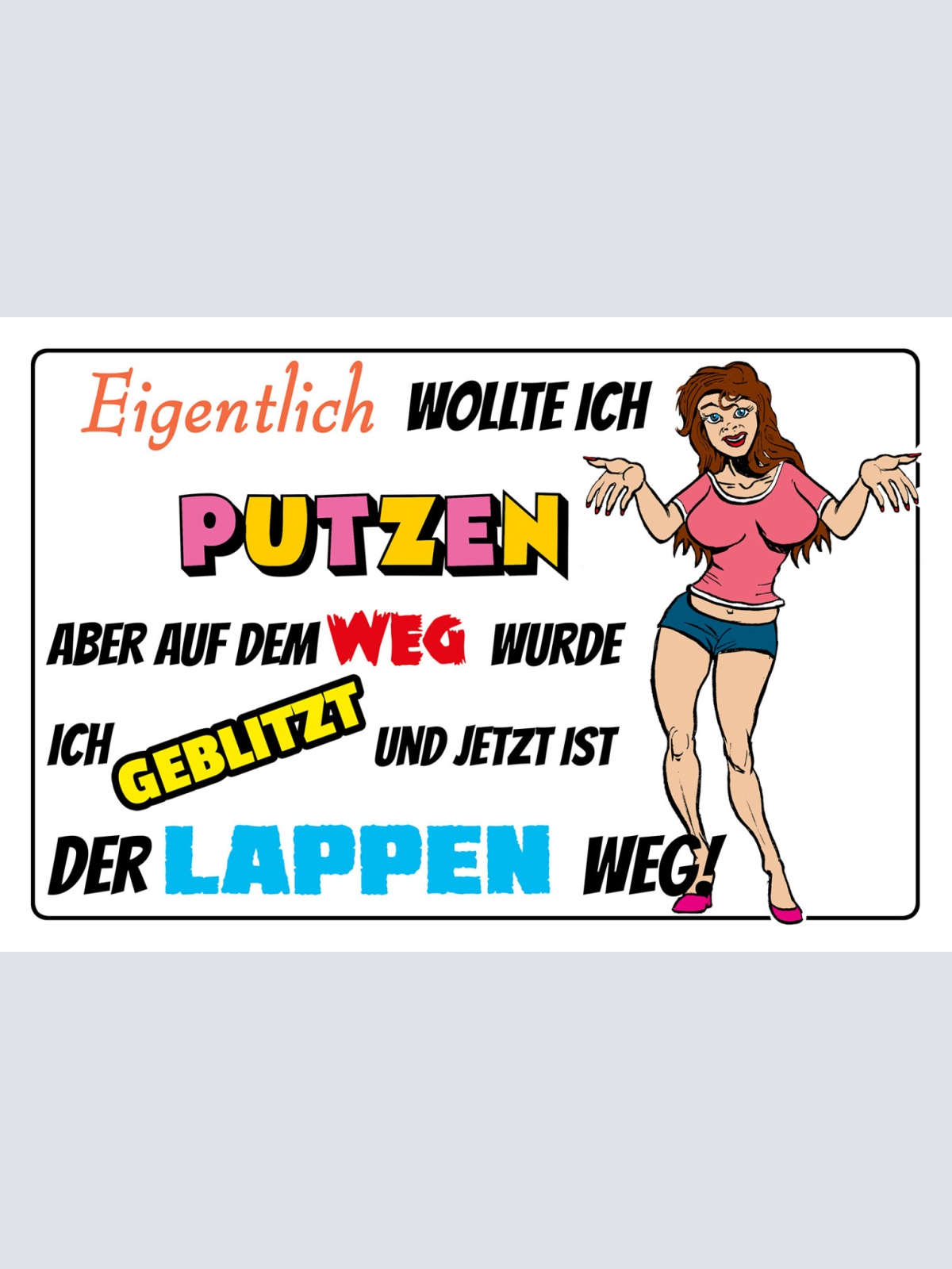 Schild Spruch Eigentlich wollte ich putzen Aber geblitzt Lappen weg Frauen JW