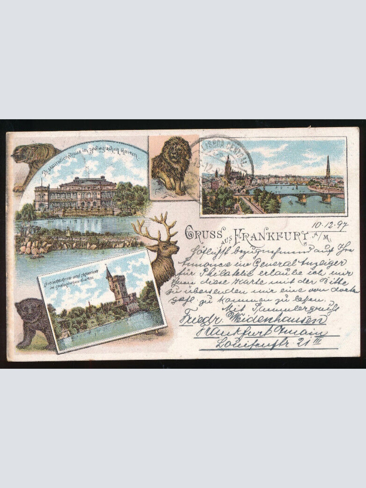 Litho-Karte gruss aus Frankfurt am Main mit Tieren Hessen (592)