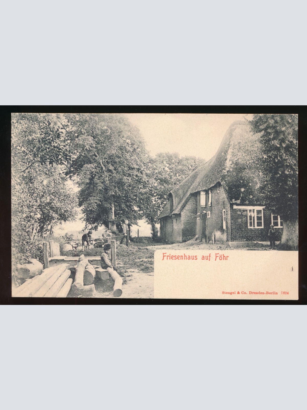 AK aus Friesenhausen auf Föhr Kinder im Garten Schleswig Hohlstein (65)