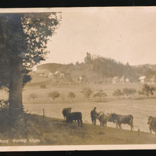 AK aus Neuravensburg Weide mit Kühen mit Blick auf Dorf Baden-Württemberg (719)