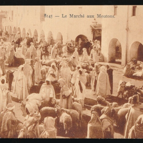 AK vom Schafmarkt mit Menschen und Schafen Afrika (677)