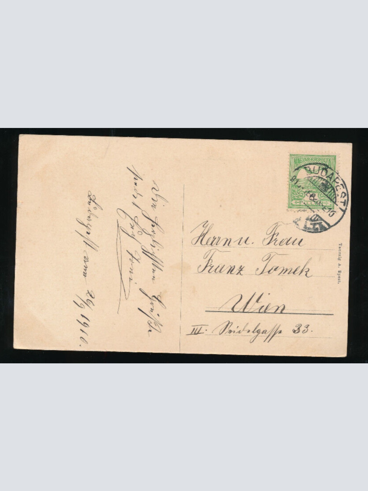 AK aus Budapest Panorama mit Brücke Ungarn (740)