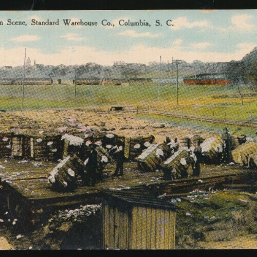 AK aus Columbia Baumwollplantage - Cotton Platform USA Amerika (622)