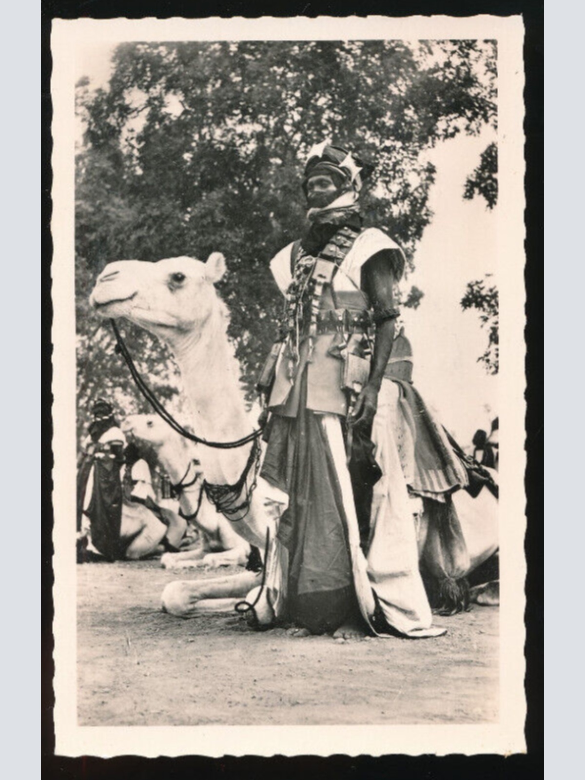 AK aus Niger von einem Meharisten mit Kamel Westafrika (686)