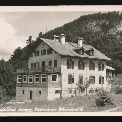 AK aus Goisern Dependance Schwarz Villa Oberösterreich (141)