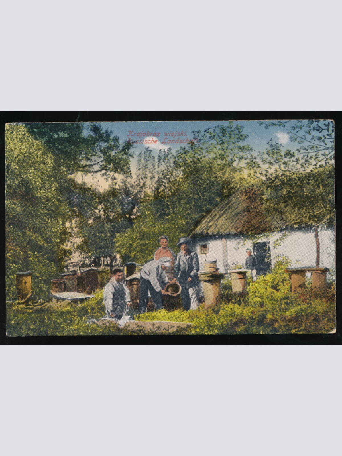 AK aus Russland Bauerndorf (910)