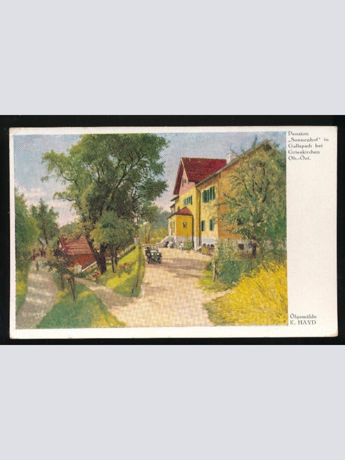 AK aus Gallspach bei Grieskirchen Pension Sonnenhof Oberösterreich (1154)