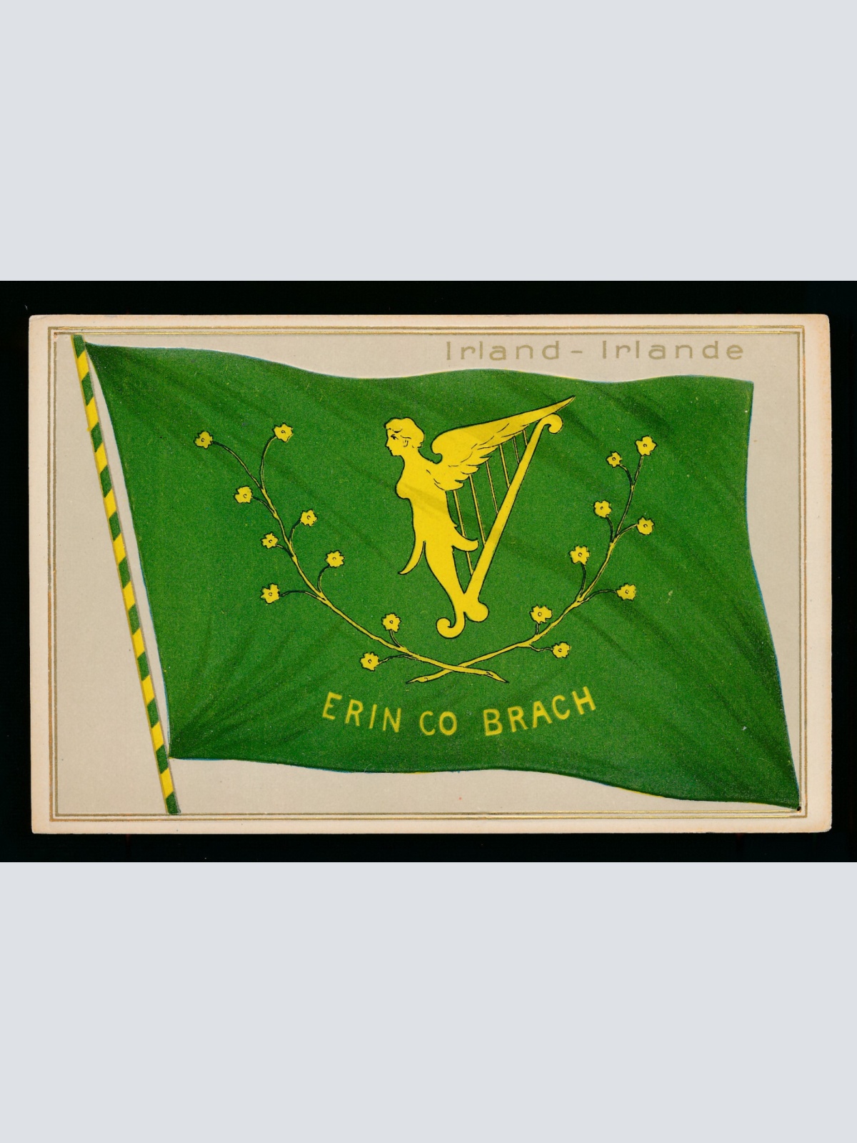 Präge-Karte Flagge - Flaggs Irland - Irlande, Erin co Brach Flagge auf AK (453)