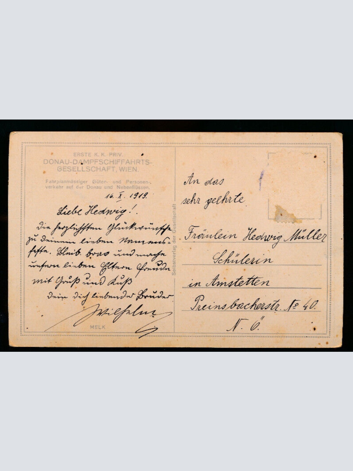 AK aus Melk Donau Dampfsdhiffahrts gesellschaft Wien Niederösterreich (1466)